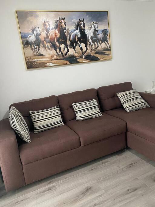 Departamento Y Moderno Apartamento Concepción